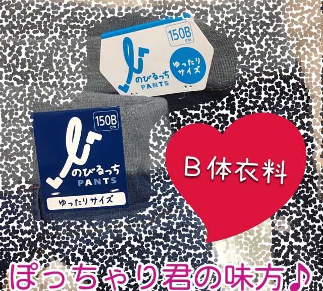 【Ｂ体衣料】ぽっちゃり君の味方【イオン】
